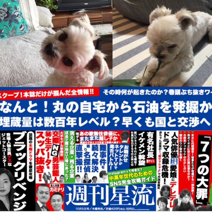 Ec3db6c6 593b 431e 9855 42a6977d610d 1508591402518