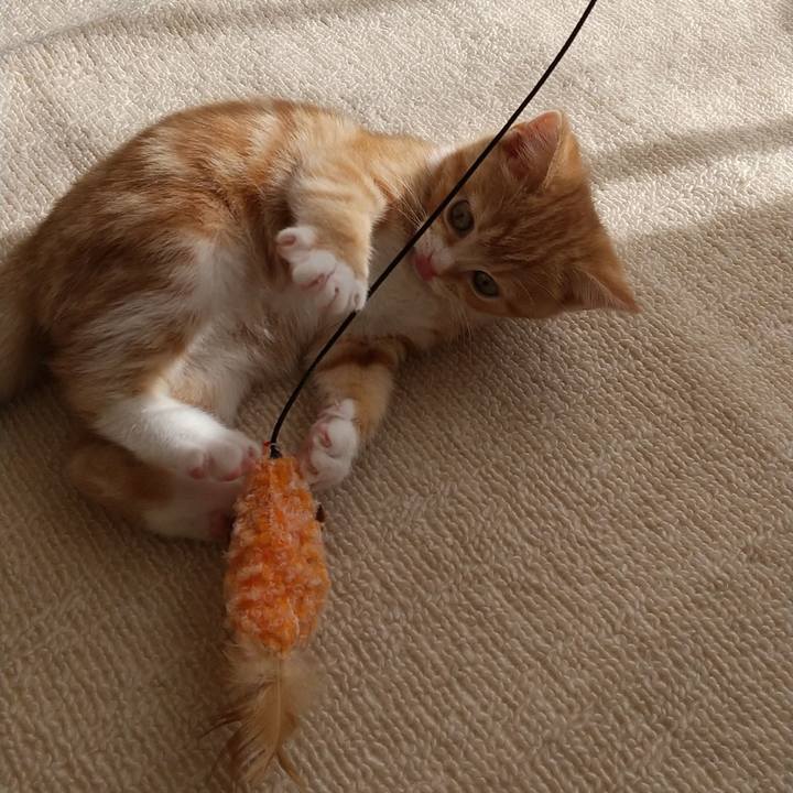 Ec3deac0 0237 48a8 b32e ec047b17b025 1621335874303