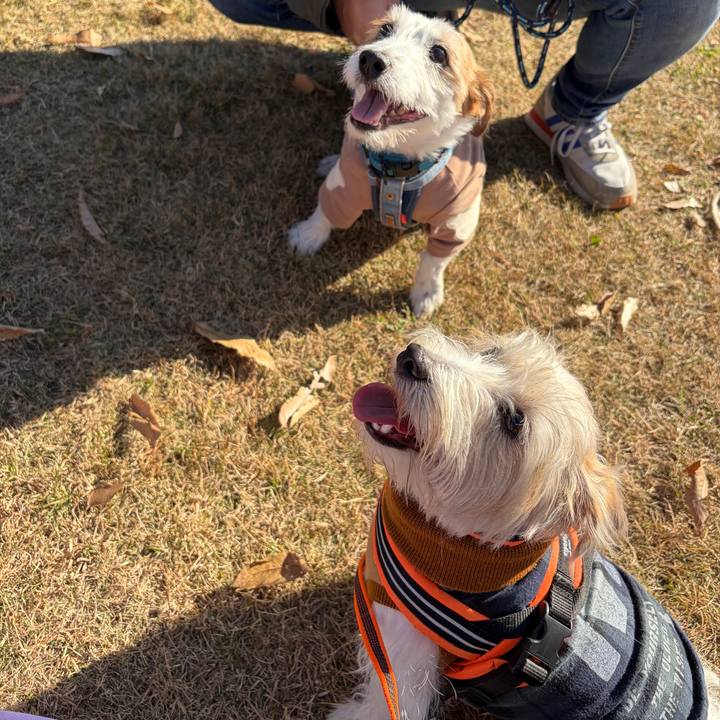 Ec3e6e73 219b 4275 a996 50ac25d15433 1764989724242