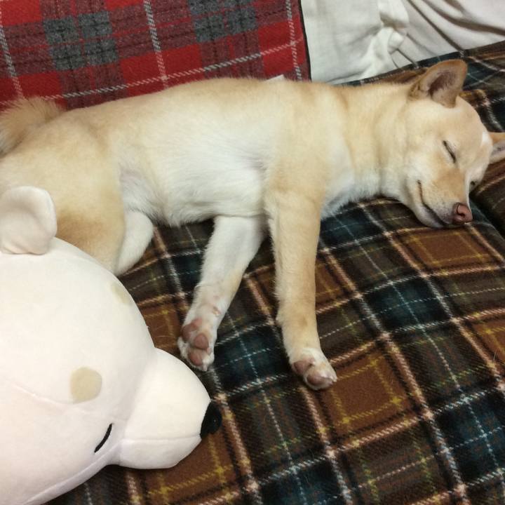 Ec3ec18f aa48 44a5 a0fe bdb22714ced3 1511785525078