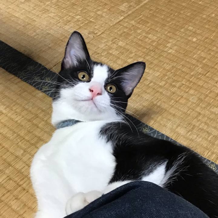 Ec3ecd68 e118 4547 b2b0 e43bd622449b 1631425525661