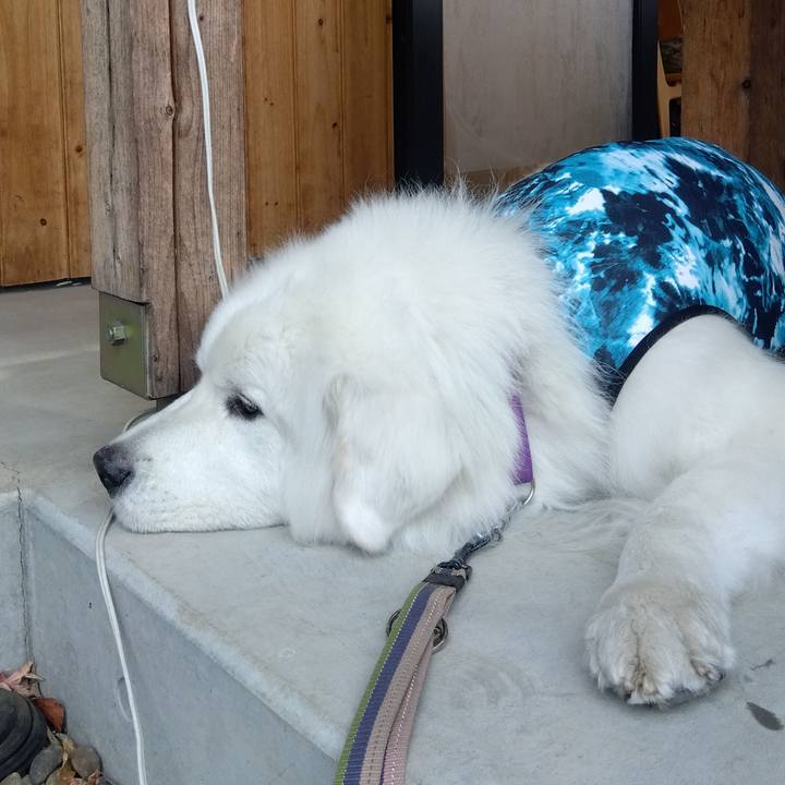 Ec3ee019 26a4 4032 9b17 3ffdc1815c27 1678445286899