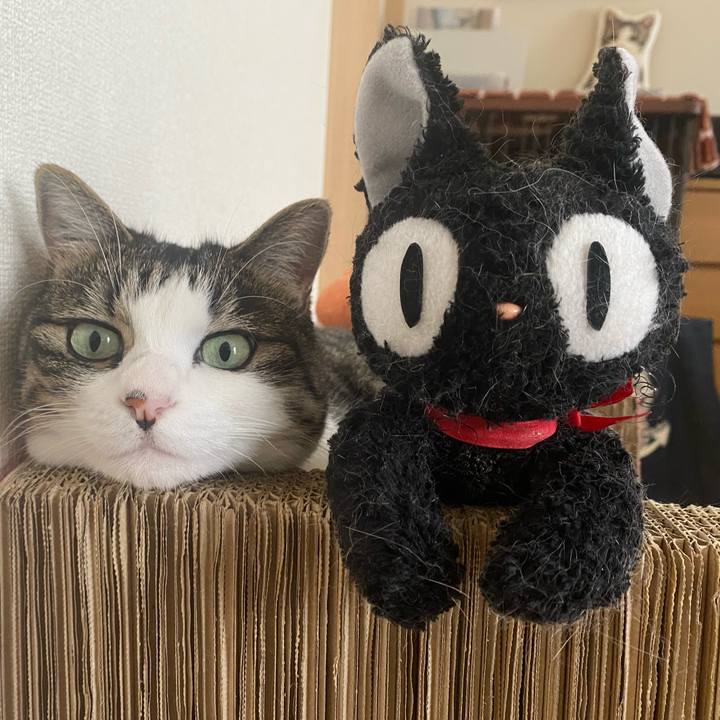 Ec3ee355 ace0 4cba 8f30 ad6d1c1c5b6c 1633862038779