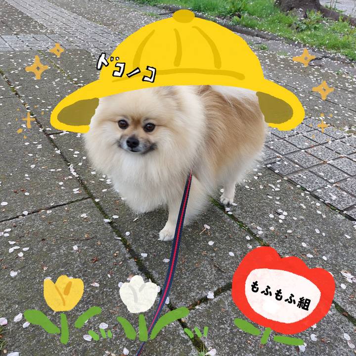 Ec3efc1e da0b 4e32 b20f 65fc7e8e6286 1712228417500