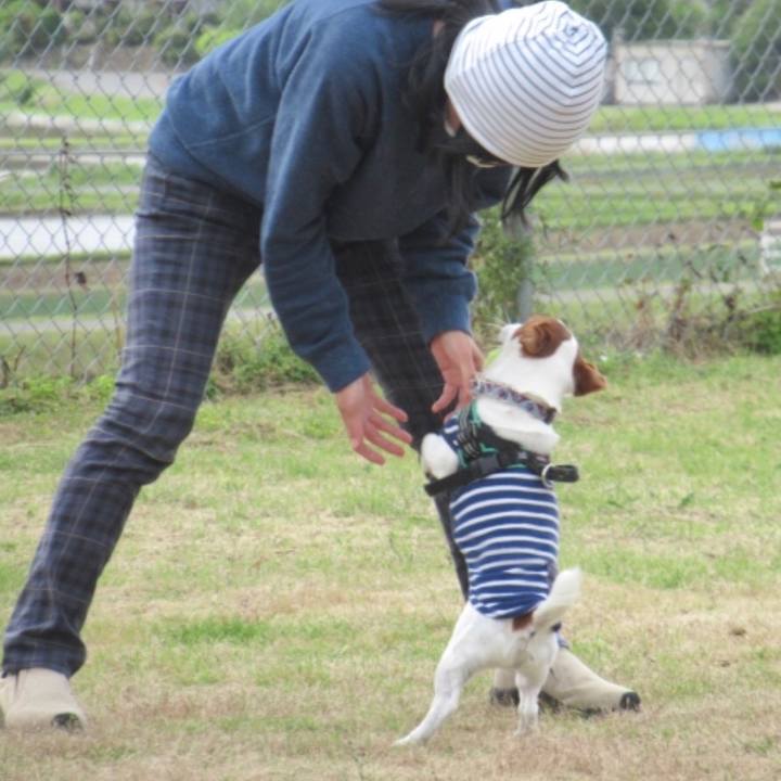 Ec3efe5d a860 446f 9b15 0e9784376714 1590136357877