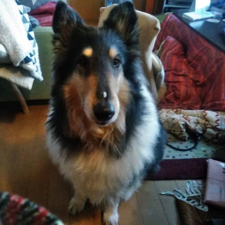 Ec3f0285 894b 4661 879e 5c3e25a9182d 1549367214323