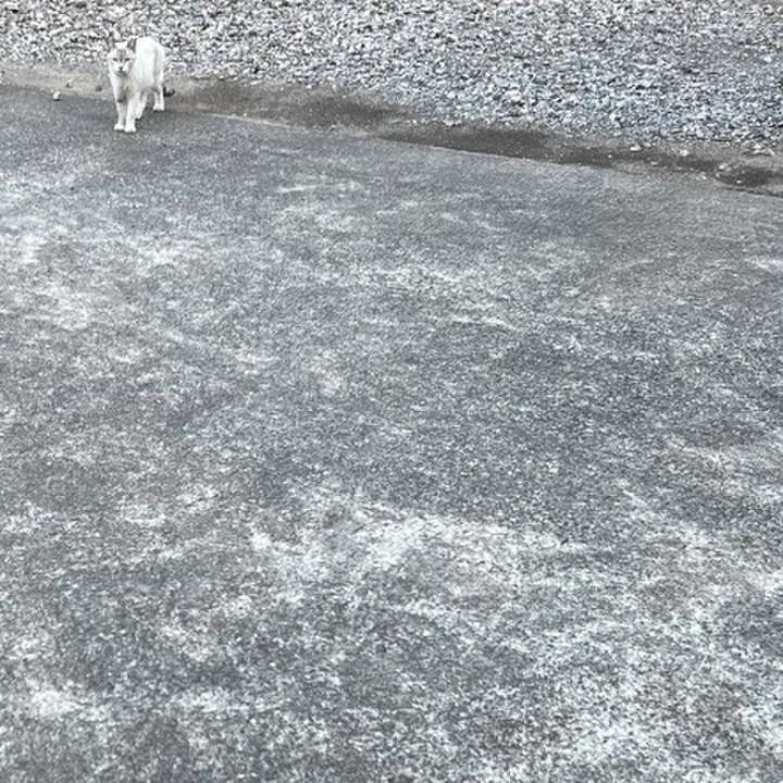 Ec3f65ee 8326 422b 9da1 40b1c39c3779 1757233451802