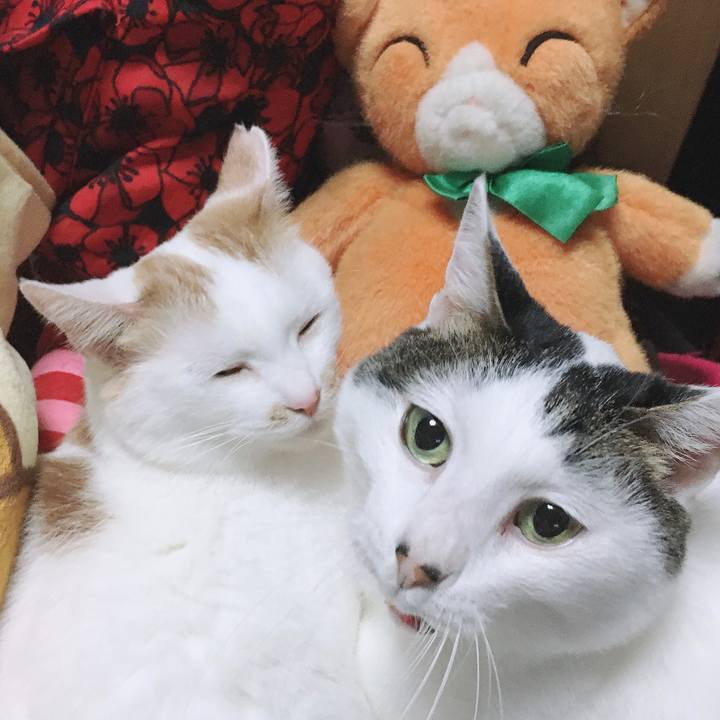 Ec3fb101 7d20 4257 9f00 eef49262760b 1574946900611