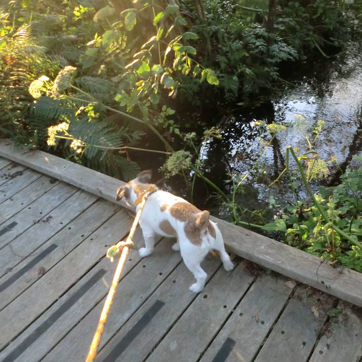 Ec3fb417 cc26 4795 85ac fe16abddf8ad 1571743124960