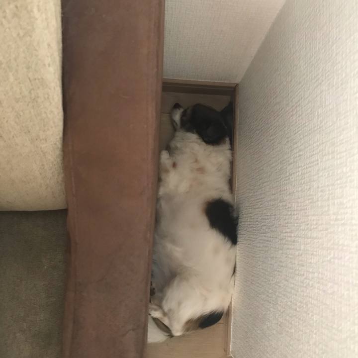 Ec3fba69 fc73 4ca5 9333 18d85577145e 1598767101297