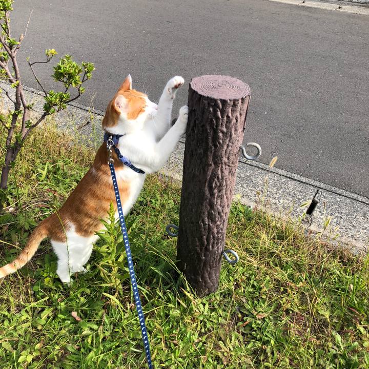 Ec3fcbbc e216 4111 9cab ed7fcb3d2857 1539415127876