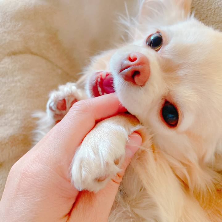 Ec3fd131 2bed 483a 8363 1f6924bbcae0 1646268311316