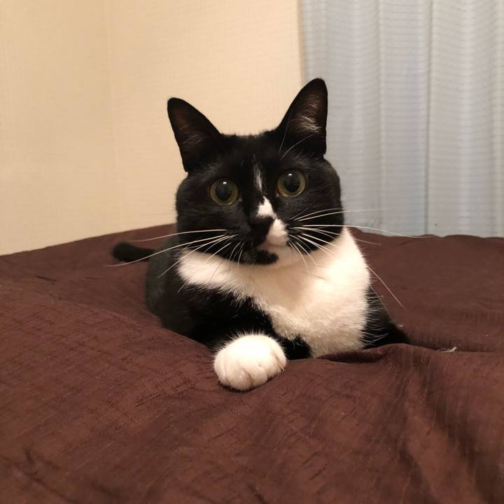 Ec3fd3ba ba8b 45a6 b2d9 7a7c2e392bd7 1511667534146