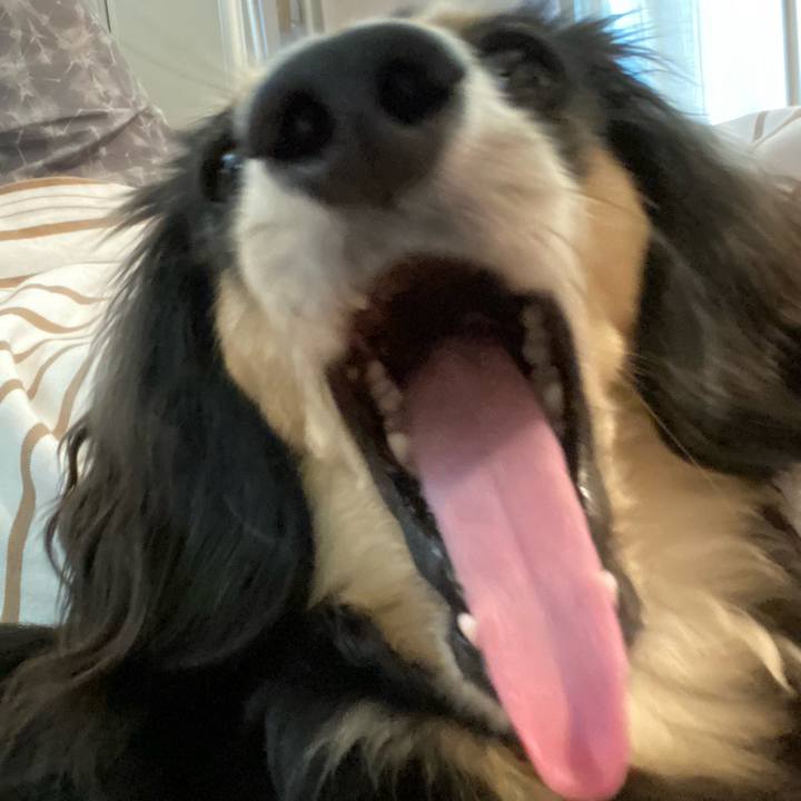 Ec3fd8b7 4fe0 49c8 ab93 c314c88feabe 1688606824267