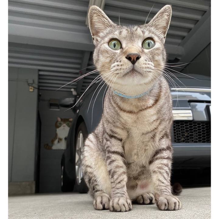 Ec401e9f 0500 449b 9ca4 8bd58466e0b8 1666516819421