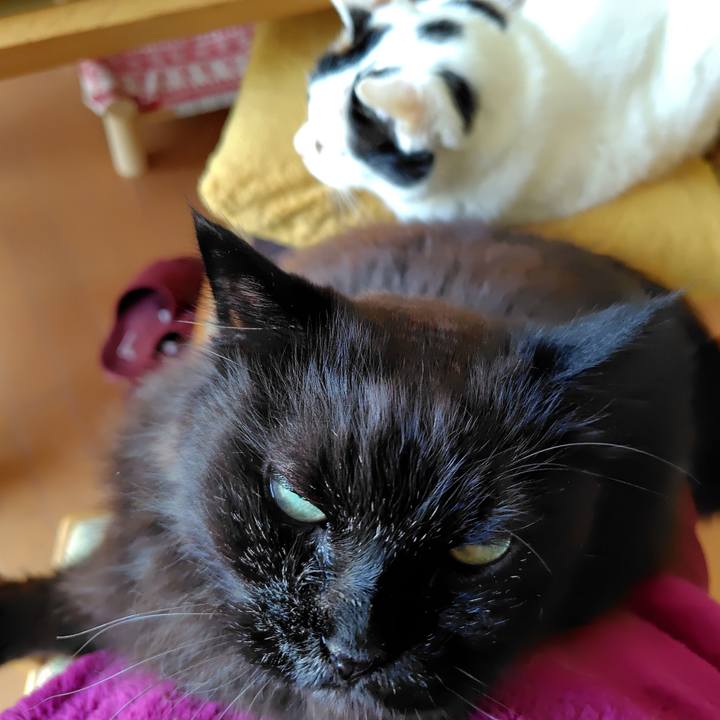 Ec404596 a55c 478c 9d81 06a9493b831d 1747955674064