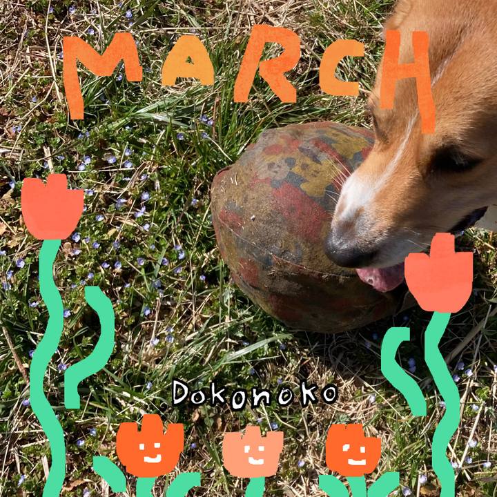 Ec406c3d d832 4a3d 9f93 5e7d12d28b45 1741314689812