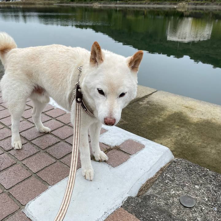 Ec409ce3 4837 4871 9ddb 87081161d78c 1634801445193