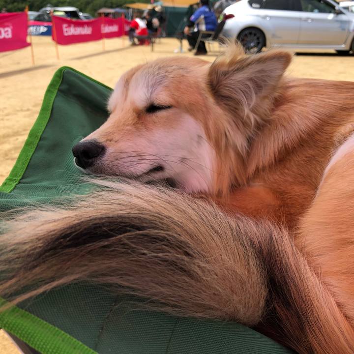 Ec40ab1a d1e7 474c 9410 aa1901d27899 1526796571183