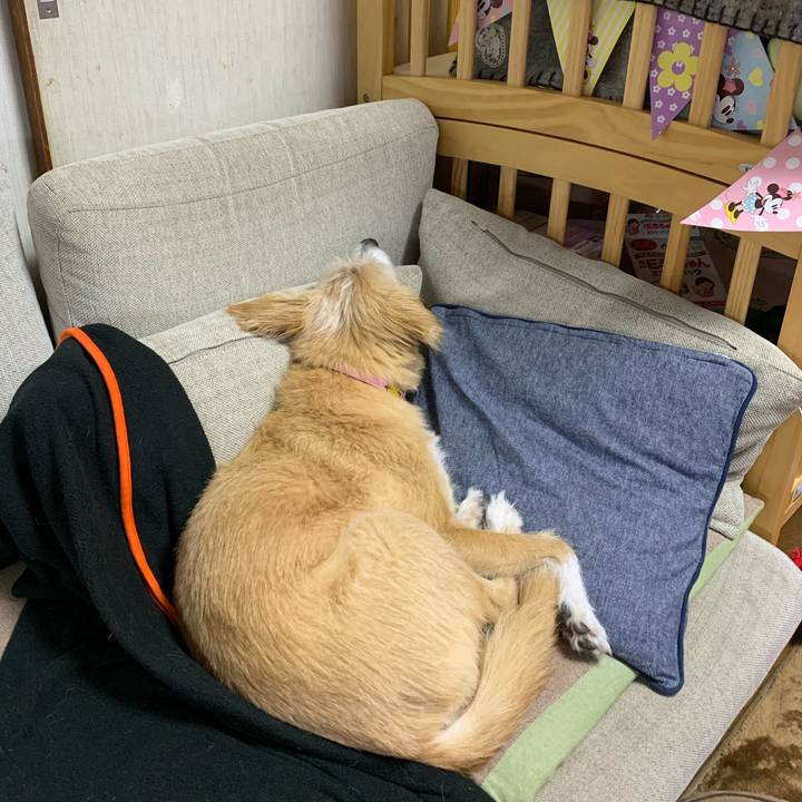 Ec40e465 cb2a 4081 970e 29b9877cf83c 1574328070505