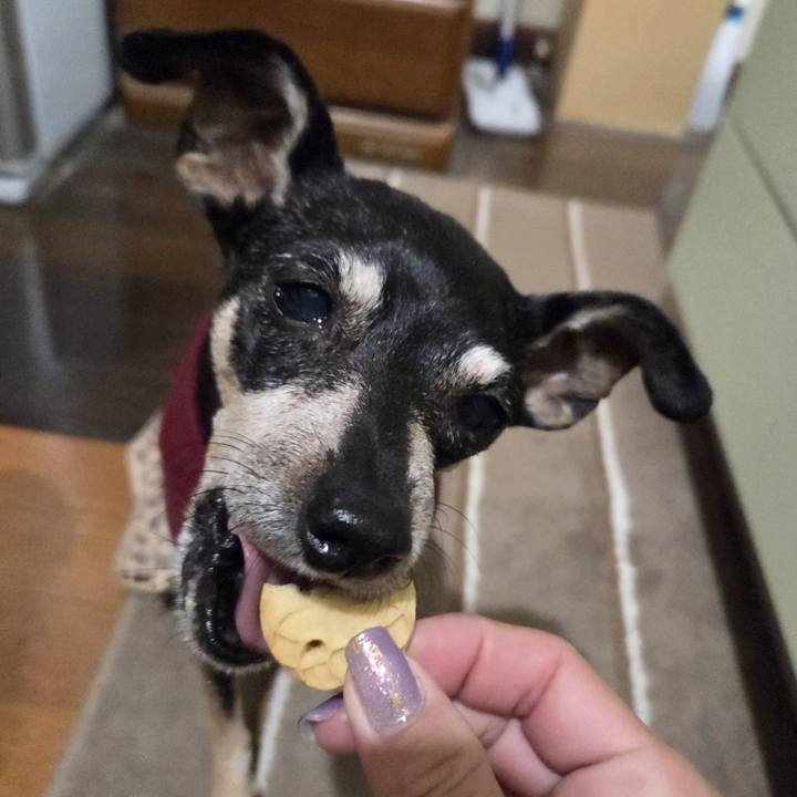 Ec410937 6cc1 494f 83bc 110f04dc1b43 1761334842291