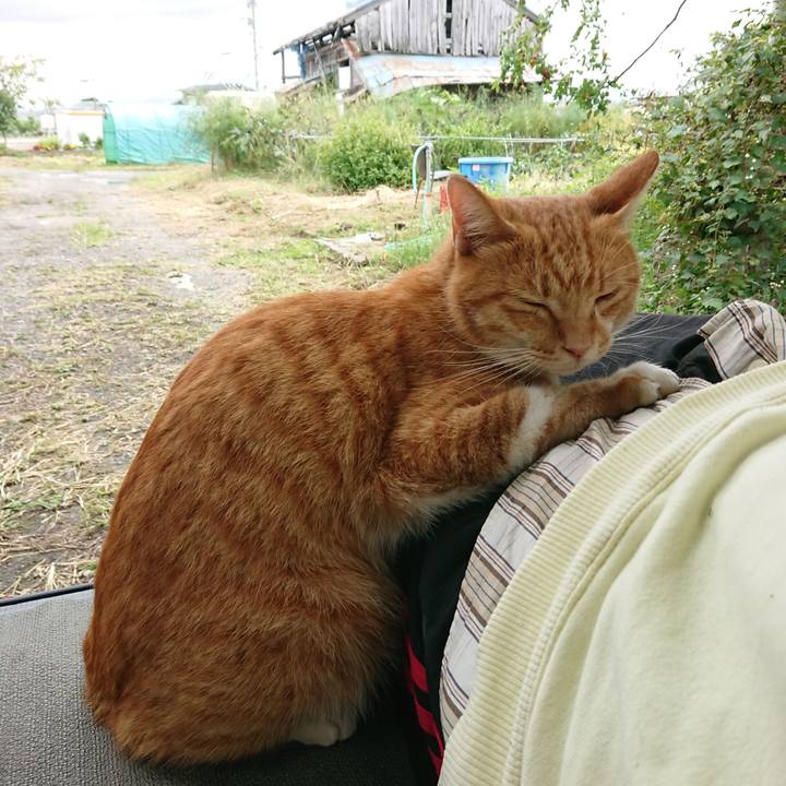 Ec412591 d0da 4bdc 8c78 0f6121dad550 1601170055501