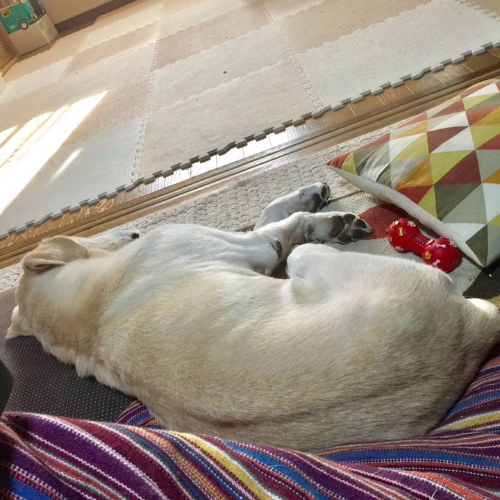 Ec413265 9265 4613 81d7 a16fb2103f24 1522223077883