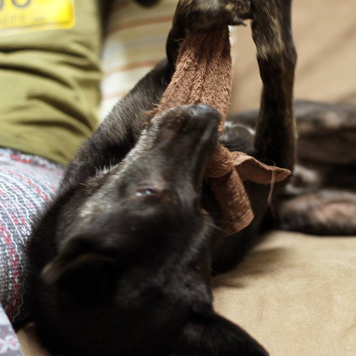 Ec41337d 18d7 4214 9d3f d91aadb95ee6 1538696154451