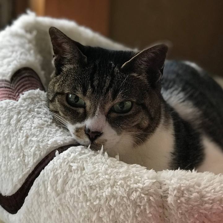 Ec41640d 15a2 45df a828 1e0c6bc452dd 1525223919418