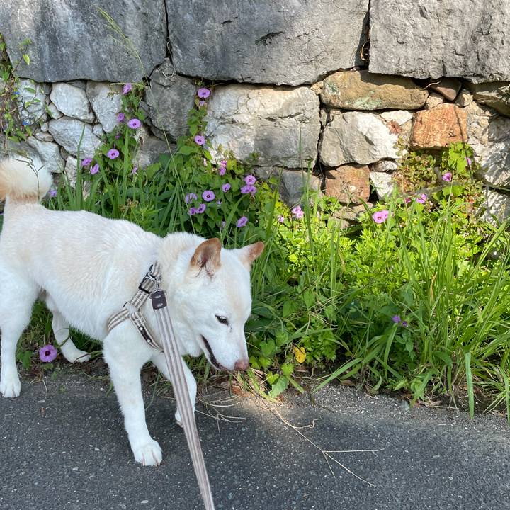 Ec416d4d c538 4fc0 9ad4 1a1c0c717bce 1634262614121