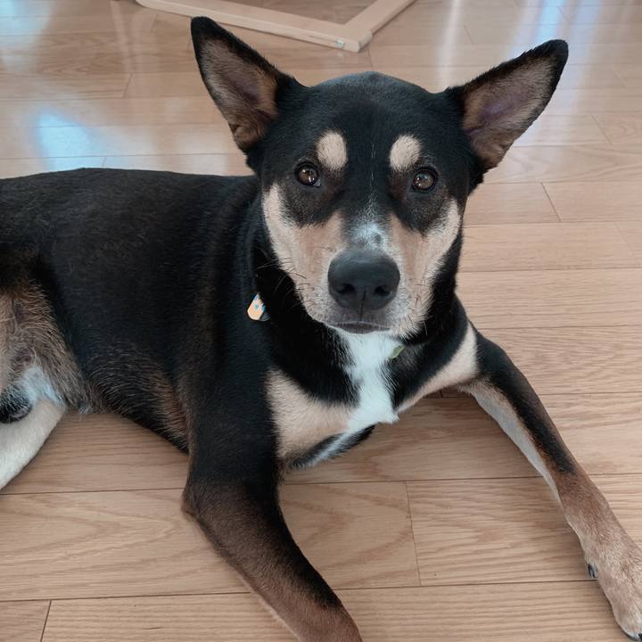 Ec419858 a837 4624 bb47 8bd76b4bae36 1560216142935