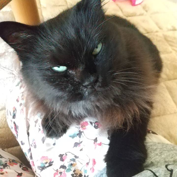 Ec41b723 6b22 4331 83b8 48e7e0386c8d 1633907711178