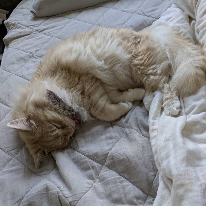 Ec425194 599b 435b bd91 81dc4d0cd13a 1753061331423