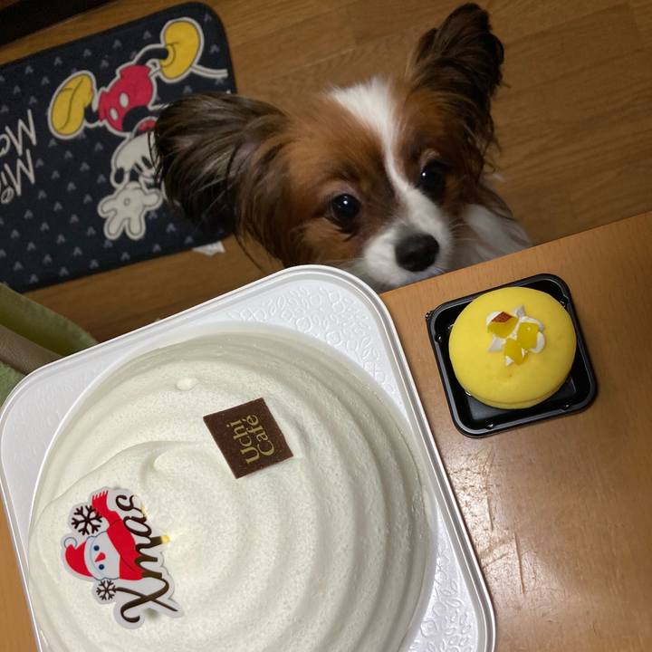 Ec426cde 5be9 471a bd03 555362e9a50b 1640430567592