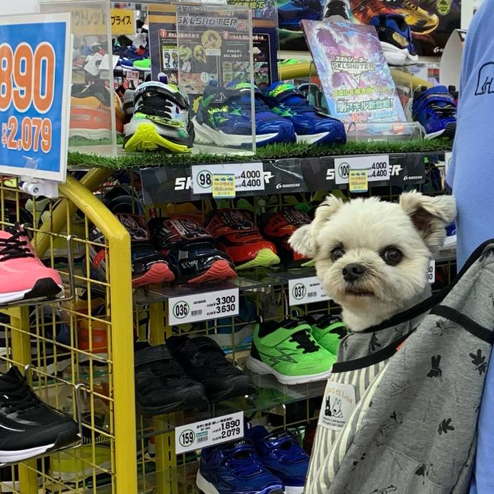 Ec4273f1 0a7b 4685 a65d d159d75b408a 1683353761359