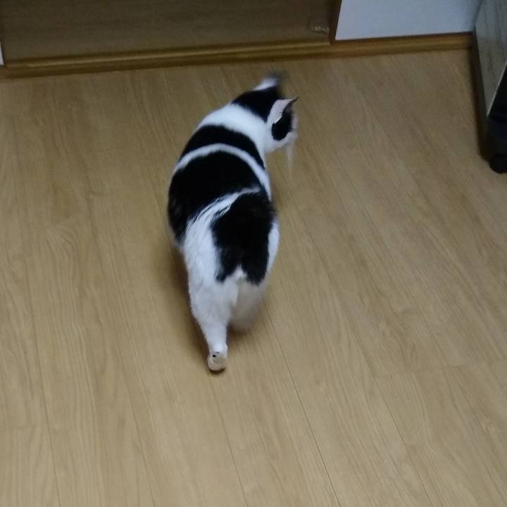 Ec42a6cd ae63 44d1 9652 da4f6c580cc5 1562329932184