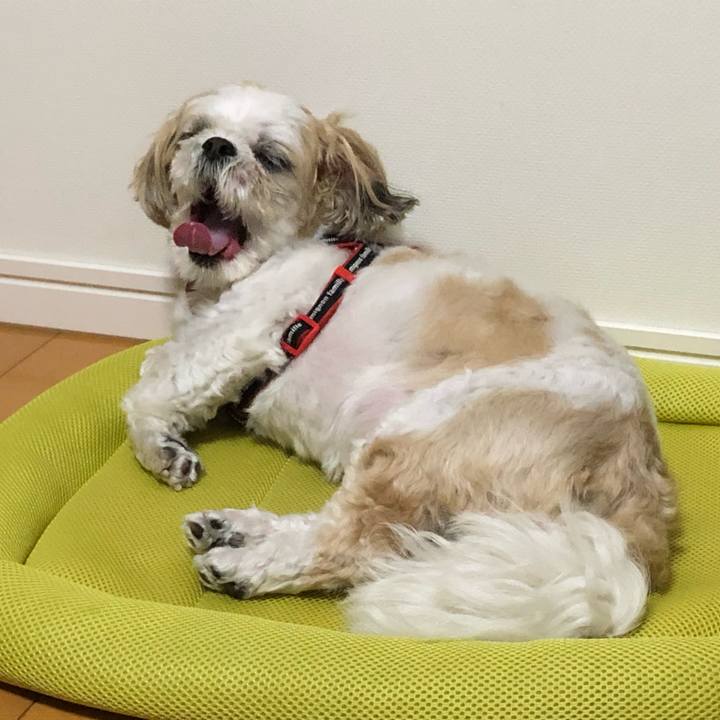 Ec42df6f bb3e 45f6 8bb0 73e9aec7e637 1559857633462