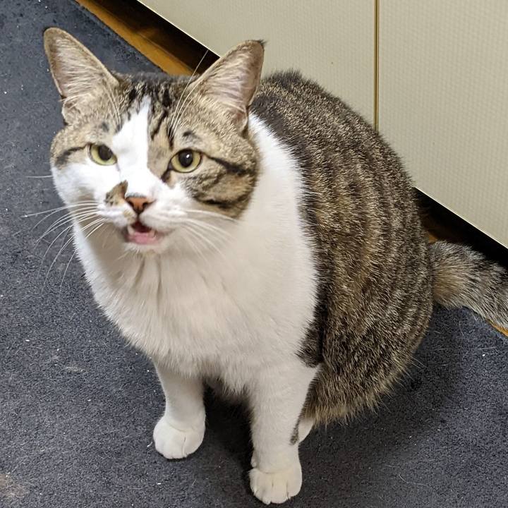 Ec42ea94 7aa5 4e88 b00c 9553f266f14f 1669588193482