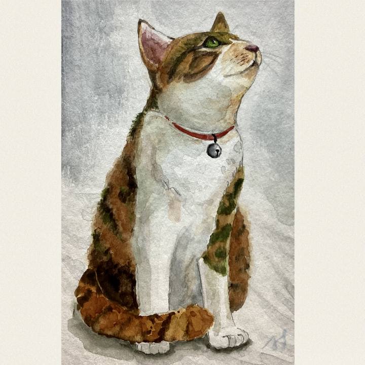 Ec43141d 8ddc 43a7 8c84 d28c7991a771 1736925927085