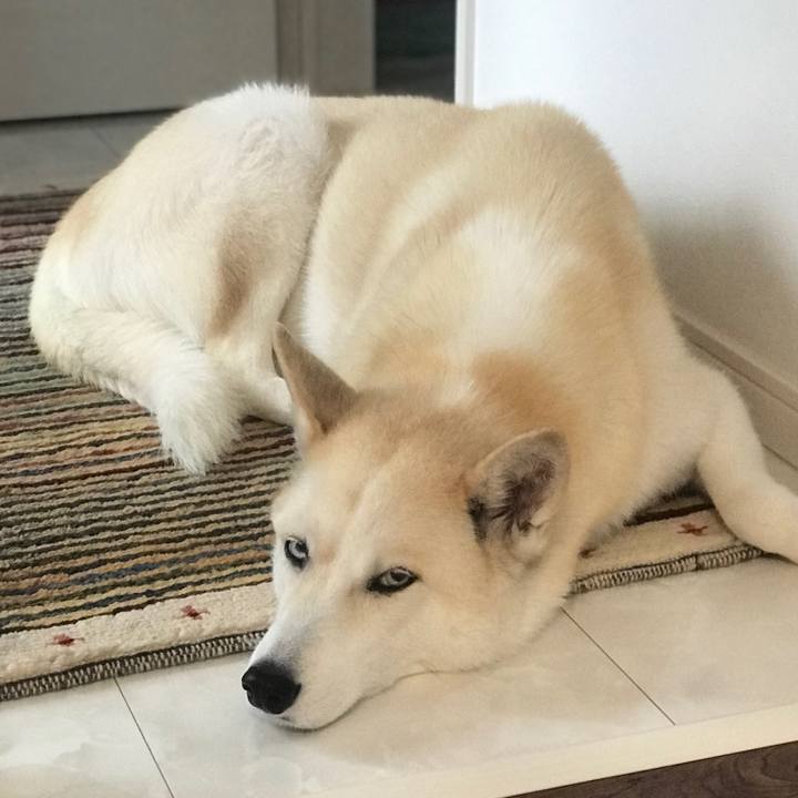 Ec435df3 3142 462c 9ce0 981584e54610 1652485893147