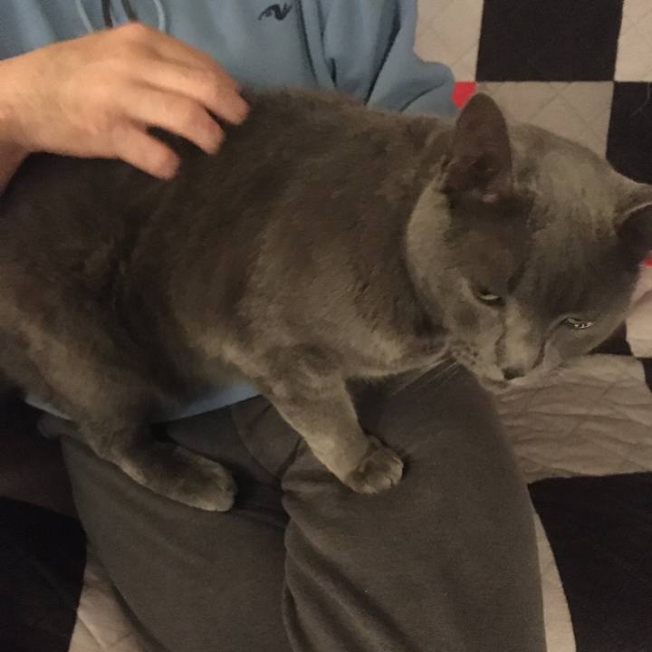 Ec43a1a1 1a4c 4626 a05f d6535f79d8dc 1689291221019