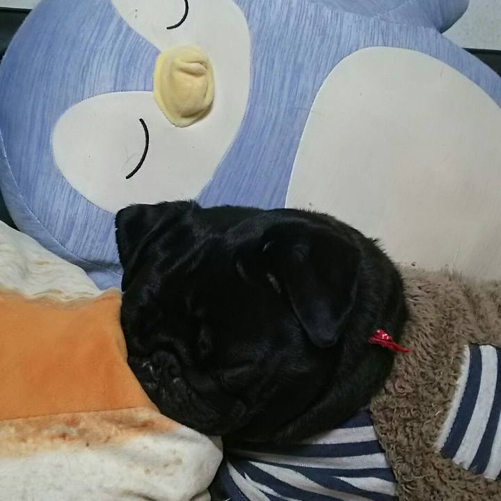 Ec43a8ba 0990 4c8f a434 df424d486aff 1545837644691