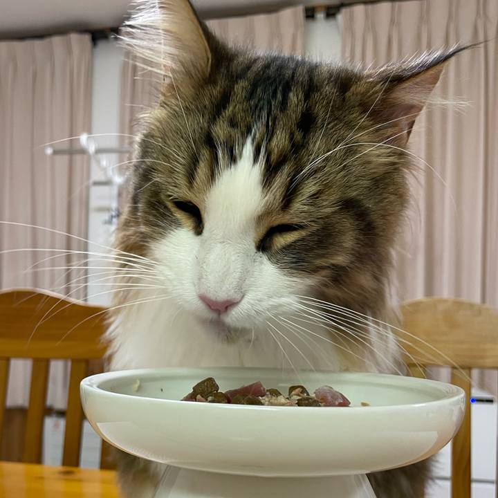 Ec43b0e3 c767 467a a1d6 904b89989fe0 1671871275313