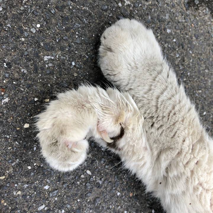 Ec43fa27 8b65 434b 99af 9643776687f7 1524657364210