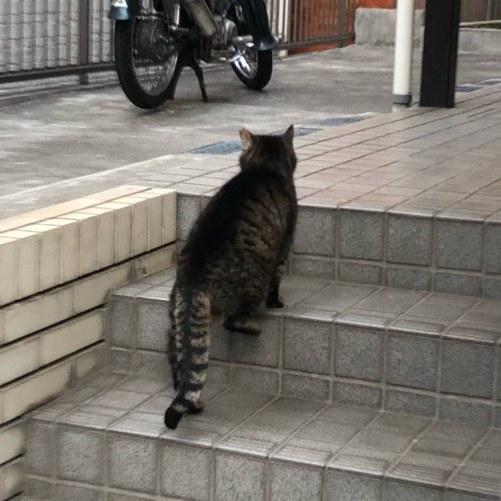 Ec445d98 8462 49a8 89a7 989c3cad1caf 1646726861502