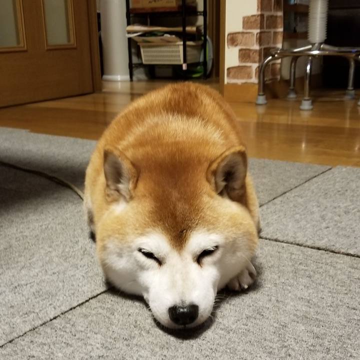 Ec447a6e 13ea 4942 a899 7c9e4082fa09 1636875616913