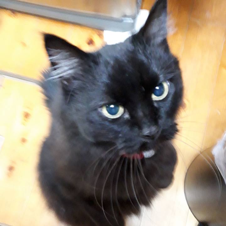 Ec44cdea dc6b 42ac b5b0 e58ac5eb9f97 1518992013659