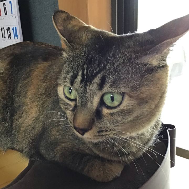 Ec44d27d 4bff 4d19 bb16 0e9a508e30b7 1653555548247