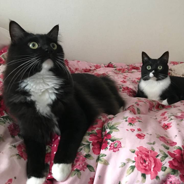 Ec44e629 d20e 4018 bbff 1a286825ad5a 1525130211814