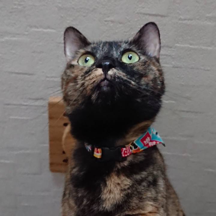 Ec4516bf fbdd 4de3 a90d 03a6dfa03f32 1560661911498